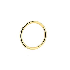 Gioielli piercing sterili Cerniera ad anello in titanio PVD oro