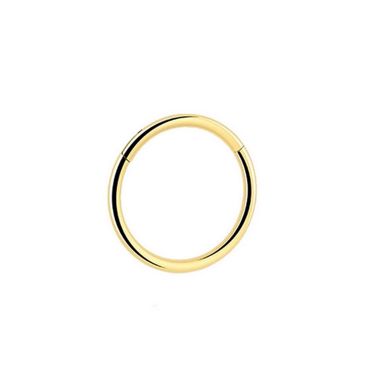 Gioielli piercing sterili Cerniera ad anello in titanio PVD oro Gioielli piercing sterili Cerniera ad anello in titanio PVD oro