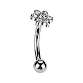 Piercing Barbell courbé élégance florale avec zircon en Titane