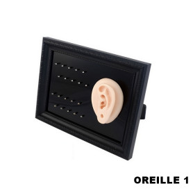 Cadre présentoir à piercings avec modèle en silicone - oreille 1