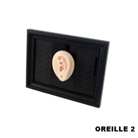 Cadre présentoir à piercings avec modèle en silicone - oreille 2