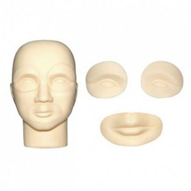 Training dummy head