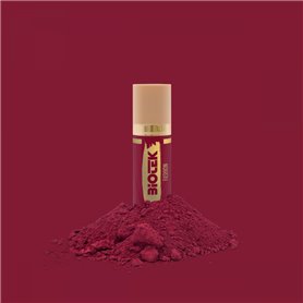 Pigment Fashion