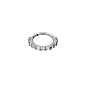 Jewellery piercing Ring Segment Clip with zircons